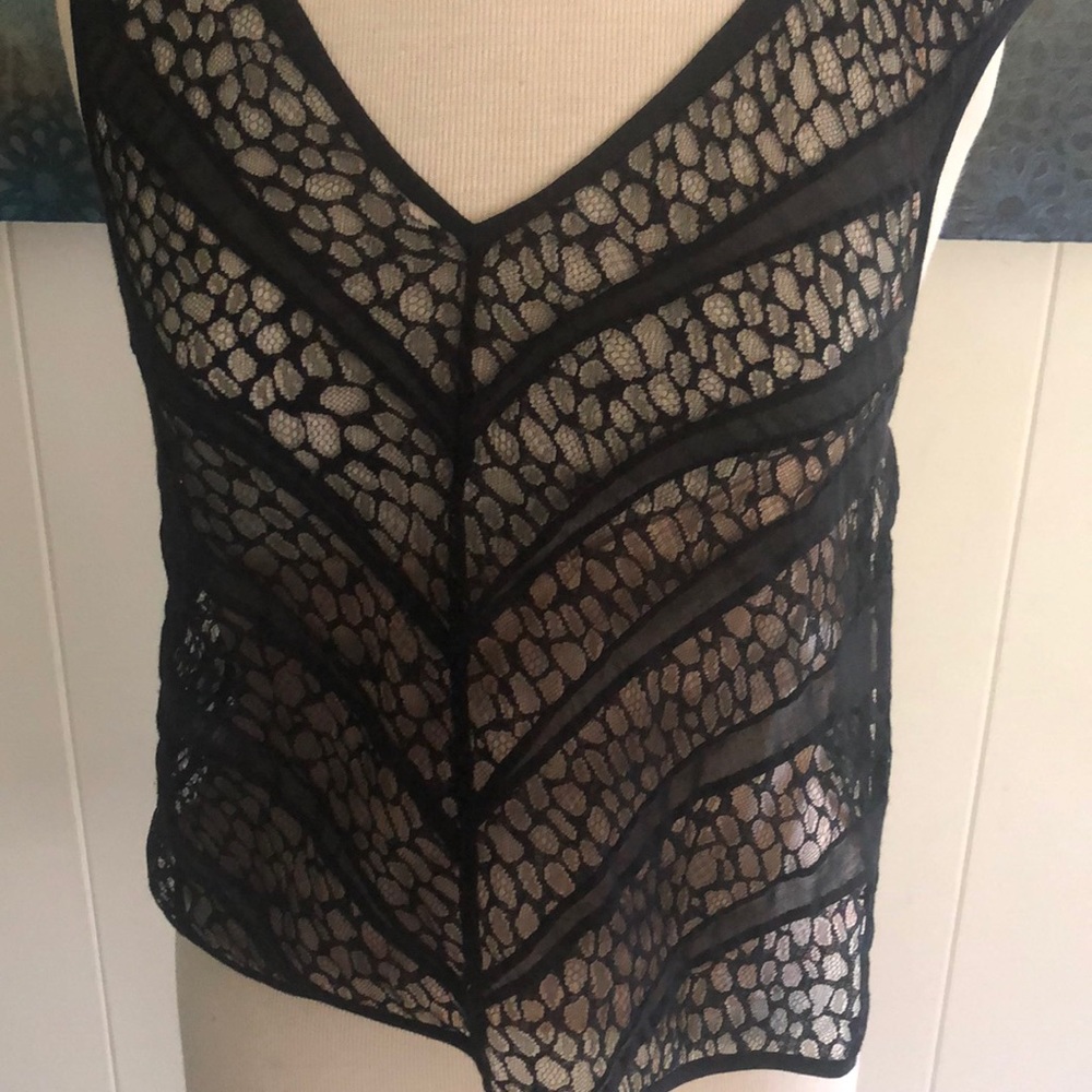 Gorgeous Europe brand Tocca lace with slip top